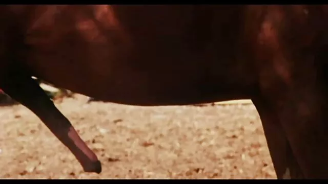 XXX sem registo  A miúda faz sexo com a filme de pornô com as brasileiras namorada com o namorado fantástico.